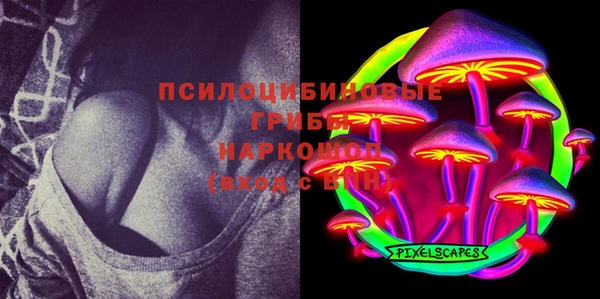 spice Балабаново