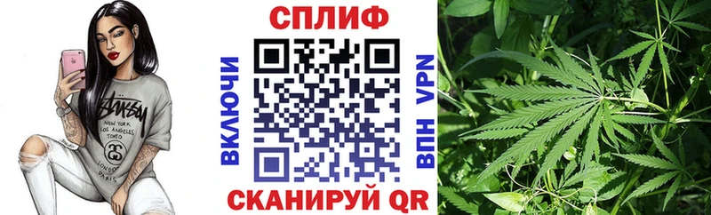 Шишки марихуана конопля  Борзя 